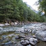 11 Stellen im Bach wo Fische stehen