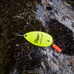 7 Tipps zum besseren Spinnfischen
