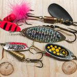 Guide für das Forellenfischen mit Spinnern