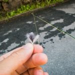 Indicator Yarn, Bissanzeiger zum Nympenfischen