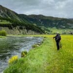 Fliegenfischen auf Forellen für Anfänger, so gelingt der Einstieg