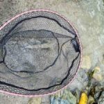 26 Antworten zu Catch and Release und Fischhandling