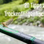 20 Tipps zum Trockenfliegenfischen