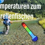 Wassertemperaturen für Forellen