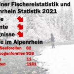 Bündner Fischereistatistik und Alpenrhein Statistik 2021
