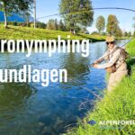 Euronymphing für Anfänger - Grundlagen