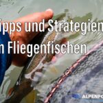 Mehr Forellen fangen, 11 Tipps und Strategien beim Fliegenfischen