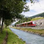 Alpenforelle fischt mit dem ÖV